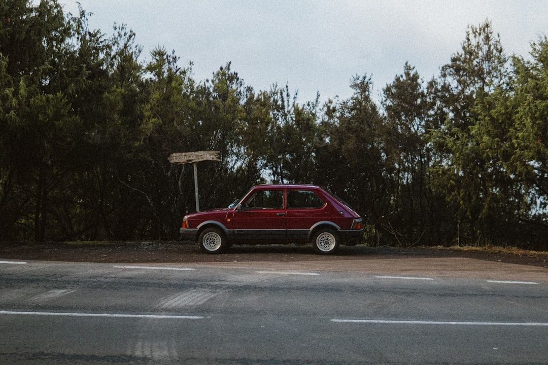 En röd äldre bil står parkerad vid vägkanten med skog i bakgrunden.